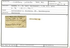 Karteikarte zum Belegmaterial von Cristellaria pulchella Reuss, 1863